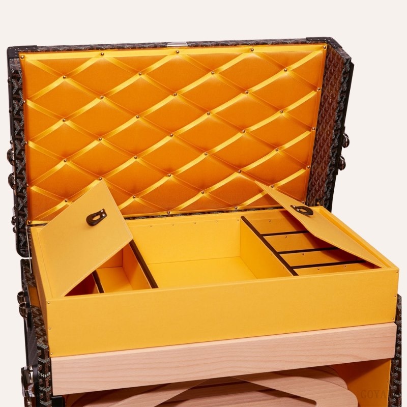 Goyard ARMOIRE TRUNK 黒 | TGCG3102