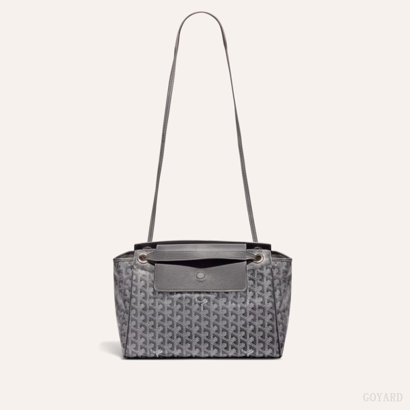 Goyard ROUETTE PM BAG グレー | QDLS8811